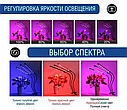 Фитолампа-светильник для выращивания растений LED Grow Light (3 лепестка), фото 4