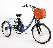 Электровелосипед GreenCamel Trike-24 R24 (250W 48V 10Ah) 7sp синий