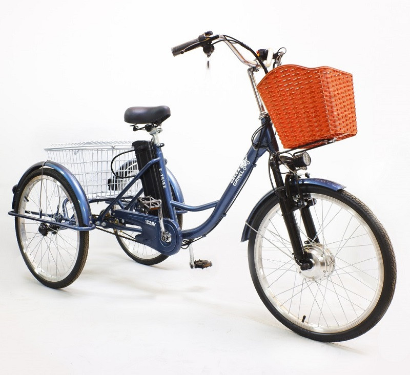 Электровелосипед GreenCamel Trike-24 R24 (250W 48V 10Ah) 7sp синий - фото 1 - id-p204480438
