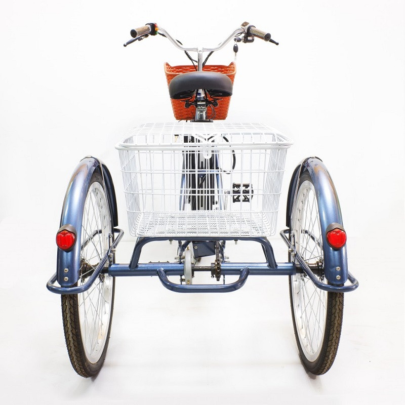 Электровелосипед GreenCamel Trike-24 R24 (250W 48V 10Ah) 7sp синий - фото 4 - id-p204480438