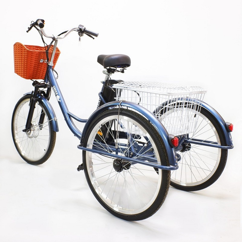 Электровелосипед GreenCamel Trike-24 R24 (250W 48V 10Ah) 7sp синий - фото 5 - id-p204480438