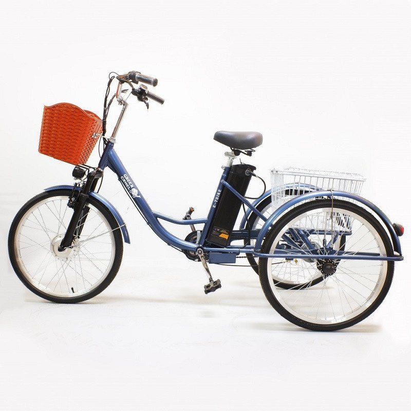 Электровелосипед GreenCamel Trike-24 R24 (250W 48V 10Ah) 7sp синий - фото 6 - id-p204480438