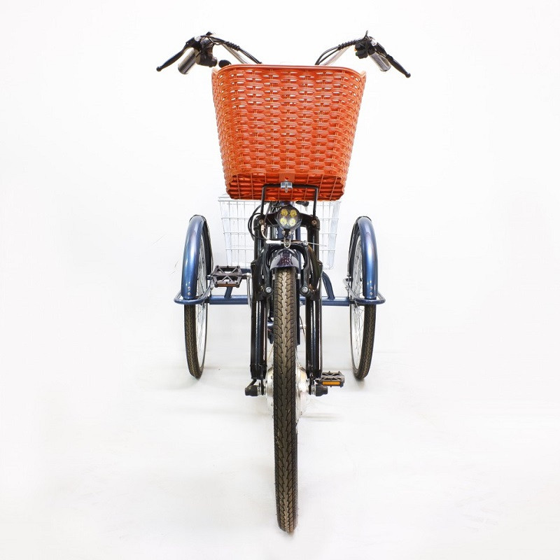 Электровелосипед GreenCamel Trike-24 R24 (250W 48V 10Ah) 7sp синий - фото 8 - id-p204480438