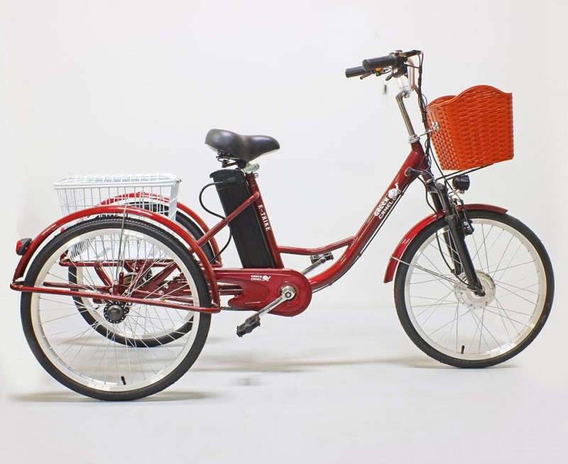 Электровелосипед GreenCamel Trike-24 R24 (250W 48V 10Ah) 7sp красный - фото 9 - id-p204480439