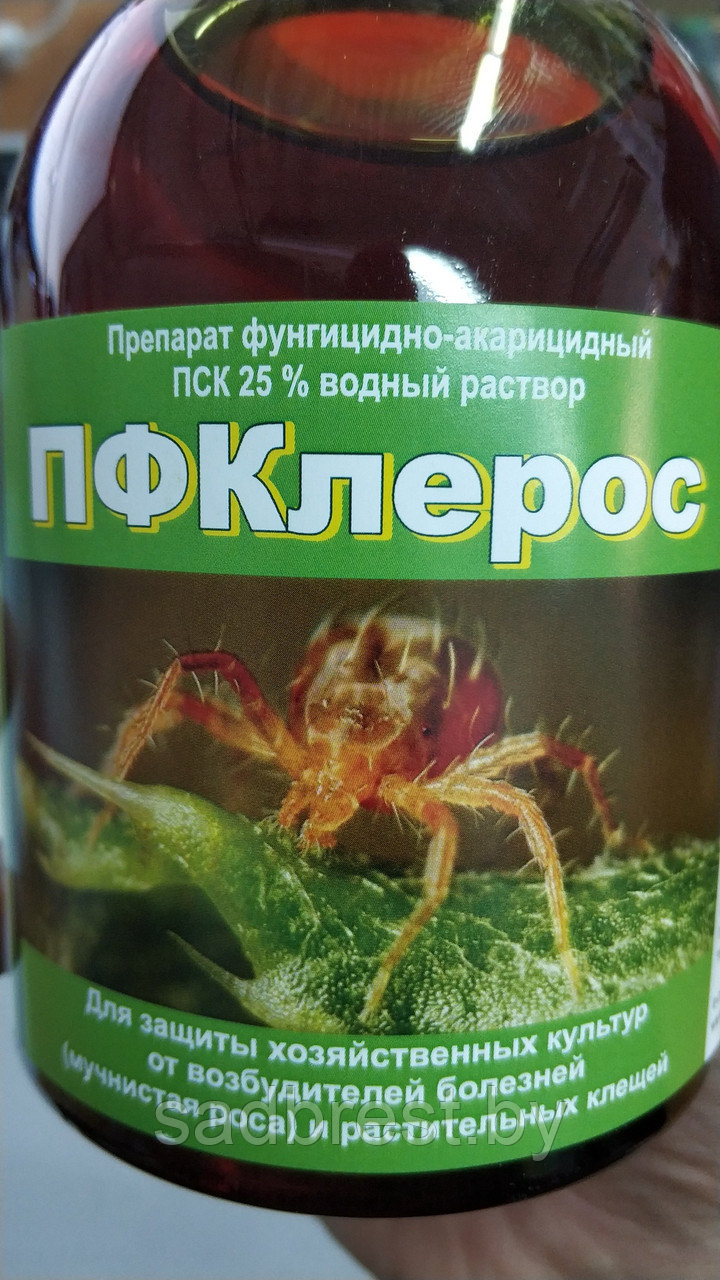 Пфклерос 0. Пфклерос препарат инструкция по применению. Пфклерос препарат купить. Пфклерос препарат инструкция по применению. Пфклерос 0.