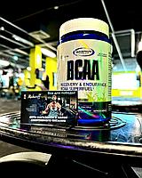 Gaspari Nutrition BCAA 4:2:2