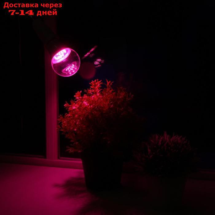 Светодиодная лампа для растений ( фитолампа ) Luazon 9 Вт, E27, 220В - фото 4 - id-p204474228
