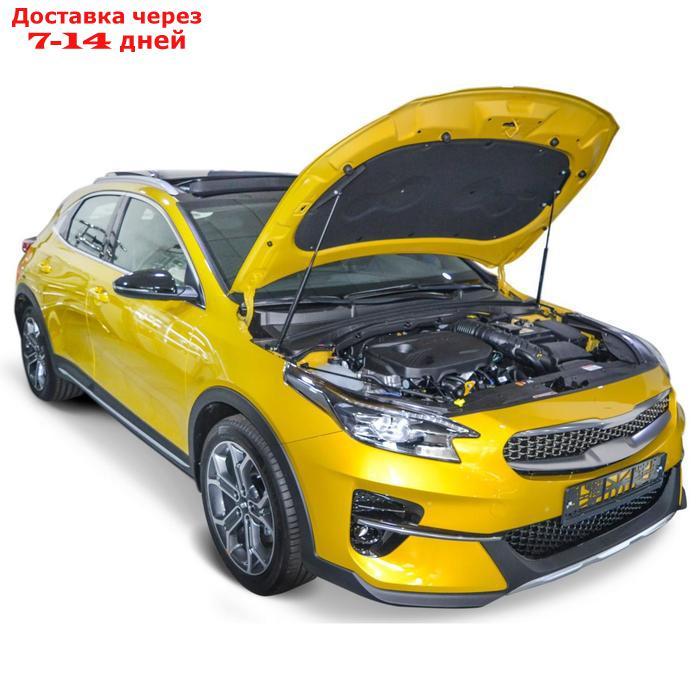 Упоры капота АвтоУПОР для Kia Ceed III 2018-н.в., 2 шт., UKICEE041 - фото 2 - id-p204475359