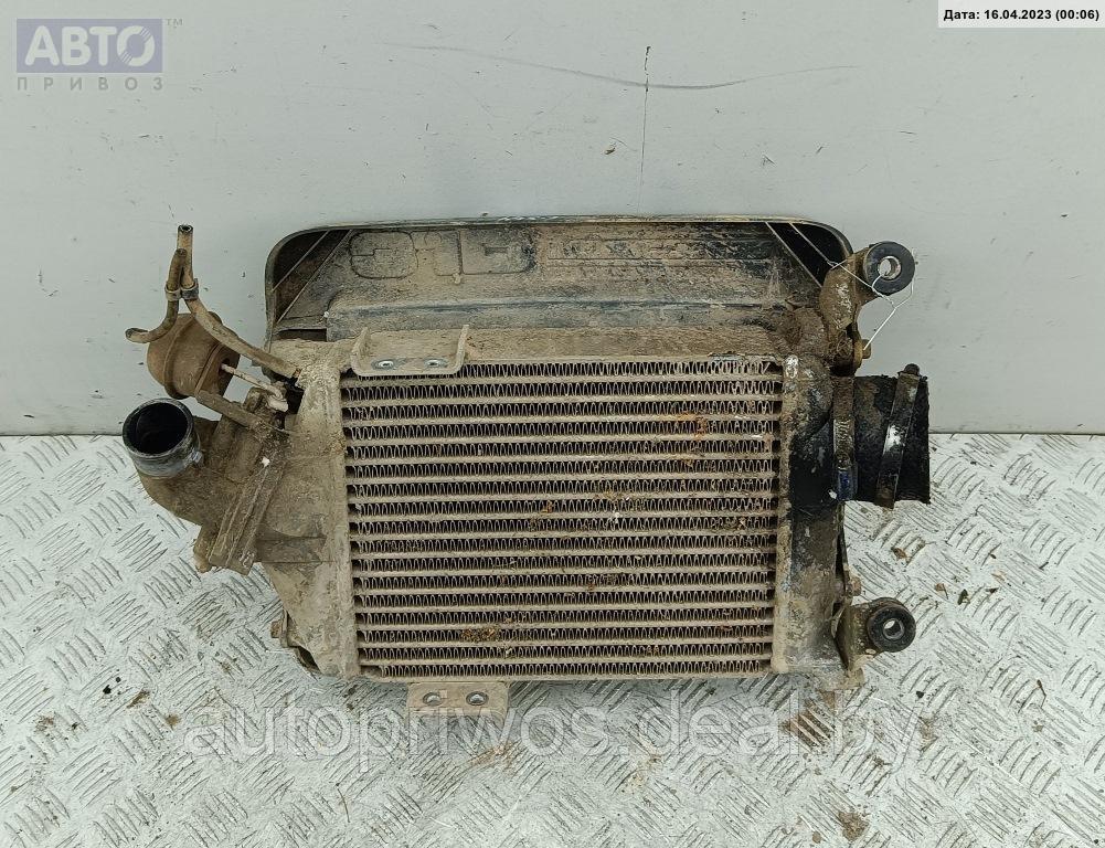 Радиатор интеркулера Opel Monterey - фото 2 - id-p204532459
