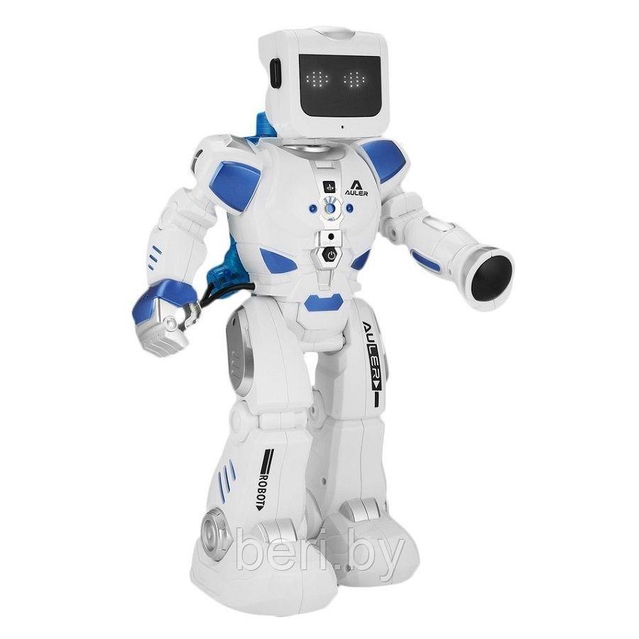 ZYA-A2738 Интерактивная робот на радиоуправлении "Эпсилон-Ти", свет, звук, русская озвучка - фото 4 - id-p204540889