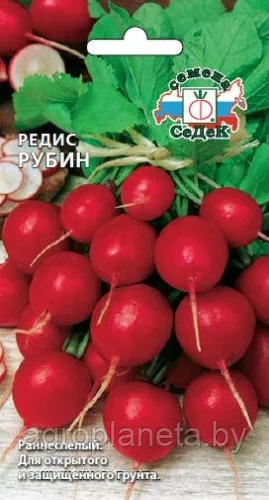 Редис Рубин 3г Седек