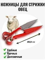 Ножницы для стрижки овец 26,5 см