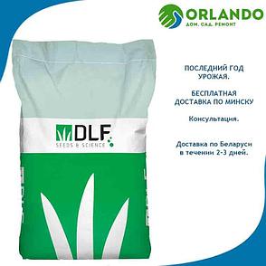 Мятлик луговой, 25 кг семена для газона. DLF trifolium. Доставка по Минску - 0 руб., фото 2