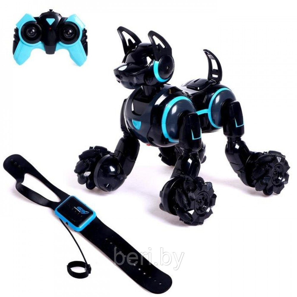 666-800A Робот-собака на радиоуправлении Stunt Dog, браслет-пульт - фото 8 - id-p204540864
