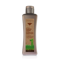 Salerm Шампунь с аргановым маслом Biokera Argan, 300 мл