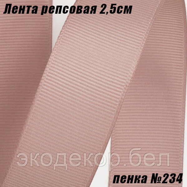 Лента репсовая 2,5см (18,29м). Пенка №234