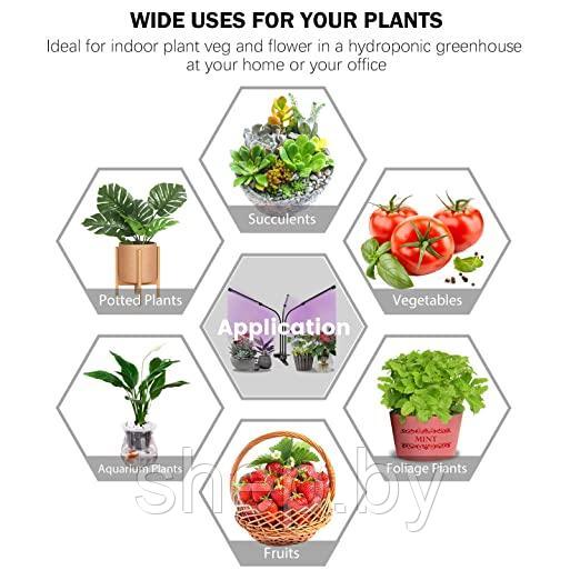 Фитолампа для растений Plant Grow Light на прищепке 3 рожка - фото 6 - id-p204650061