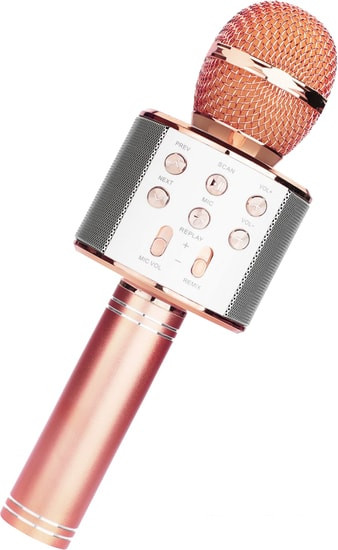 Микрофон Wster WS-858 (розовый) - фото 1 - id-p204652644