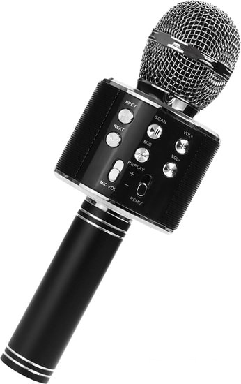 Микрофон Wster WS-858 (черный) - фото 1 - id-p204652648