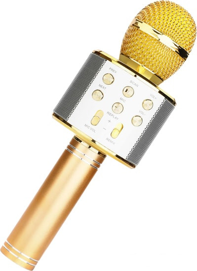 Микрофон Wster WS-858 (золотистый) - фото 1 - id-p204652715