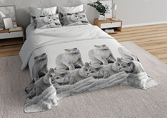 Полуторные с пододеяльником ш.143 "Британцы"