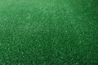 Искусственная трава Витебские ковры 18С23-ВИ