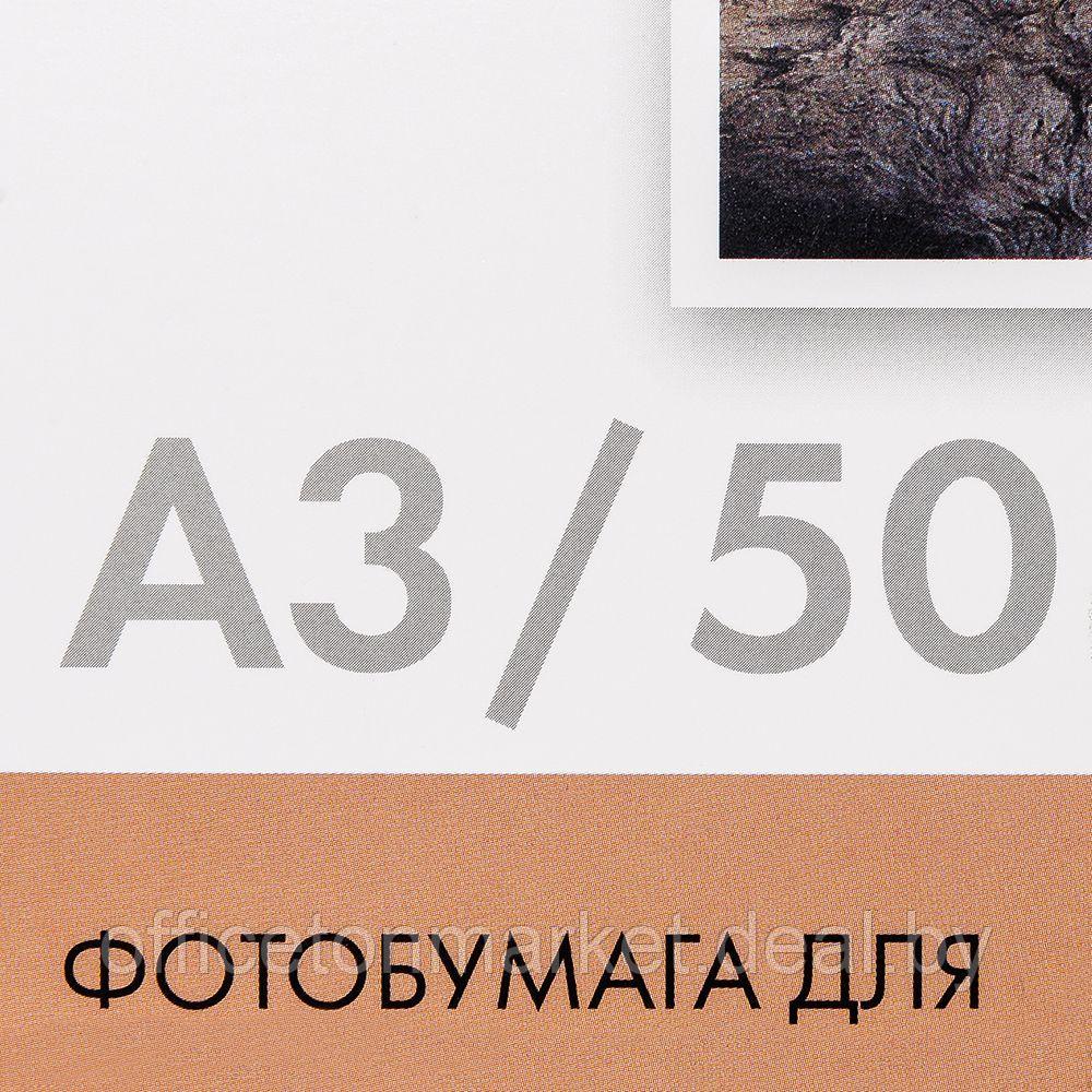 Фотобумага матовая для струйной фотопечати "Lomond", A3, 50 листов, 230 г/м2 - фото 2 - id-p204716825
