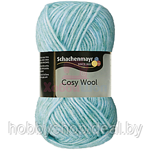 Пряжа для ручного вязания Schachenmayr Cosy Wool 50 гр цвет 00065