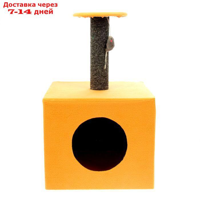 Когтеточка "Столбик", куб с площадкой 35 х 35 х 60 см, микс - фото 2 - id-p204704549
