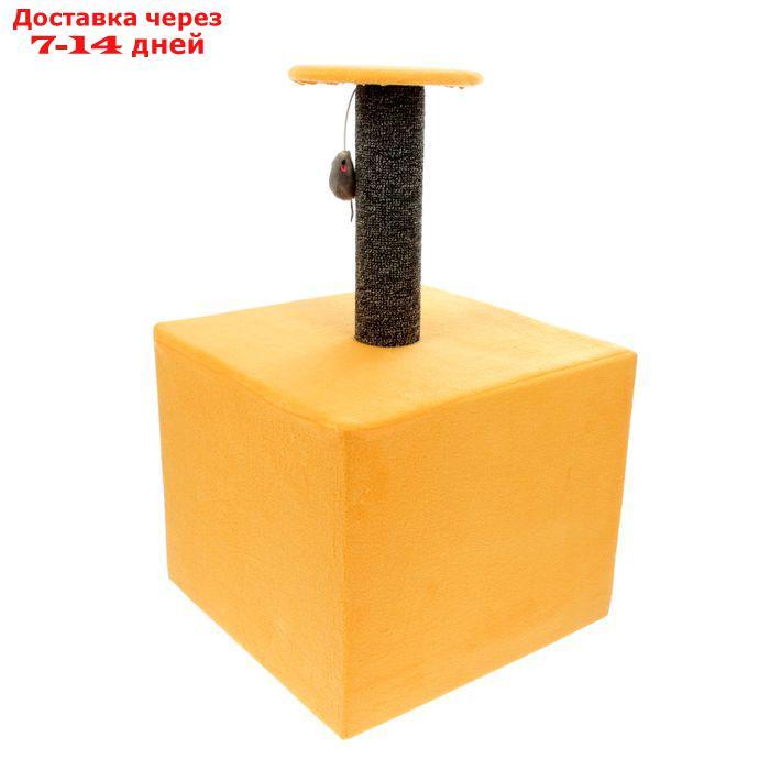 Когтеточка "Столбик", куб с площадкой 35 х 35 х 60 см, микс - фото 3 - id-p204704549