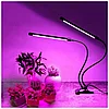 Фитолампа для растений Plant Grow Light на прищепке 2 рожка, фото 4