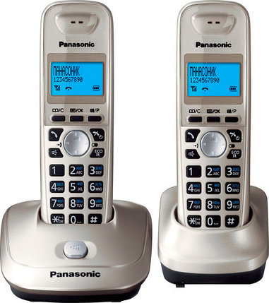 Радиотелефон Panasonic KX-TG2512RUN, фото 2