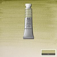 Акварельная краска Winsor&Newton Professional 5 мл № 638 Terre Verte (Yellow shade)