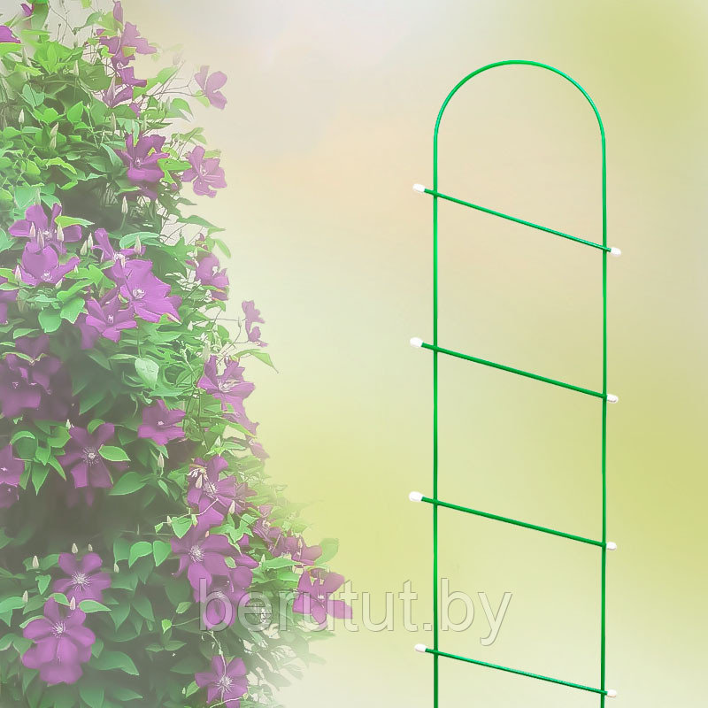 Шпалера садовая металлическая для растений, "Лесенка" 1.7 м - фото 1 - id-p203317144