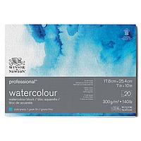 Бумага акварельная Winsor&Newton PROFESSIONAL WATERCOLOUR BLK COLD 300 18X26 20 листов