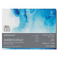 Бумага акварельная Winsor&Newton PROFESSIONAL WATERCOLOUR BLK COLD 300 23X30,5 20 листов