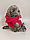 Мягкая игрушка Кот Басик (Basik), в байке, 25 см, фото 4
