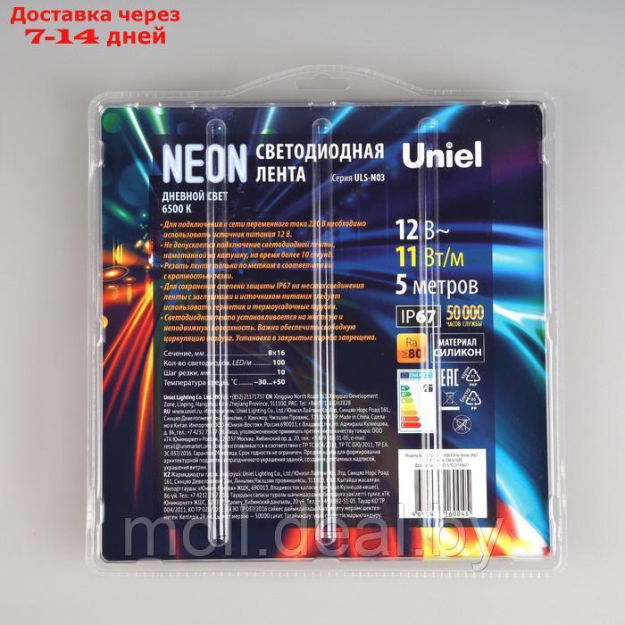 Гибкий неон Uniel, 8x16 мм, 5 м, LED/м-100-SMD2835-12V, 11 Вт/м, IP67, 6500К - фото 1 - id-p205034724