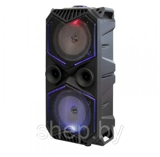 Портативная колонка BT Speaker ZQS-1819 с микрофоном для караоке, 30W, LED подсветка, пульт ДУ - фото 6 - id-p205231325
