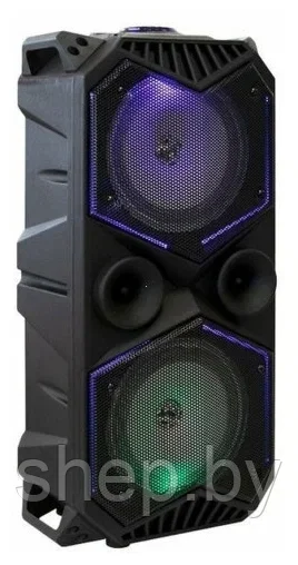 Портативная колонка BT Speaker ZQS-1819 с микрофоном для караоке, 30W, LED подсветка, пульт ДУ - фото 7 - id-p205231325