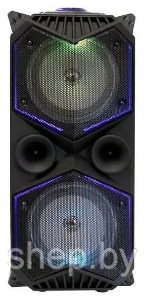 Портативная колонка BT Speaker ZQS-1819 с микрофоном для караоке, 30W, LED подсветка, пульт ДУ - фото 8 - id-p205231325