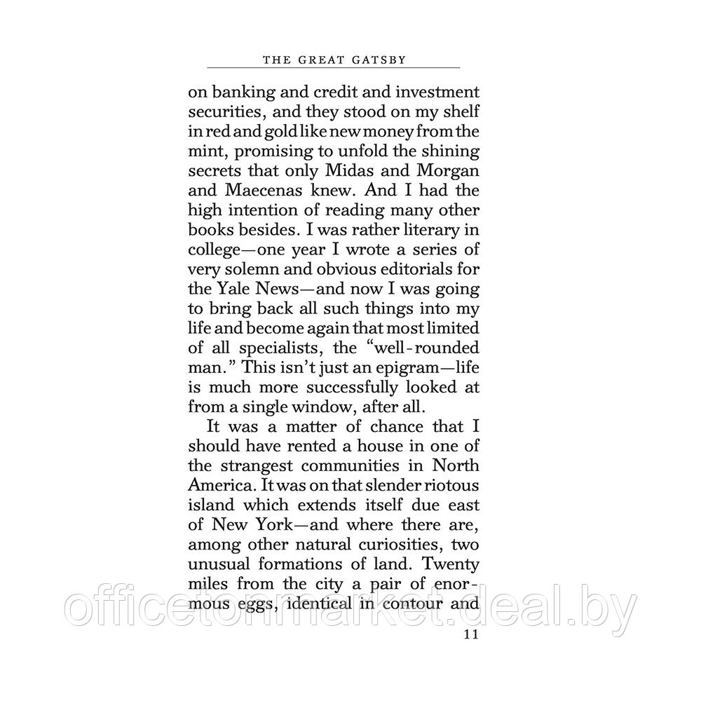 Книга на английском языке "The Great Gatsby", Фрэнсис Скотт Фицджеральд - фото 9 - id-p205231432