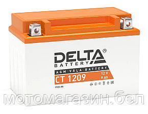 Аккумуляторная батарея СТ 1209 Delta
