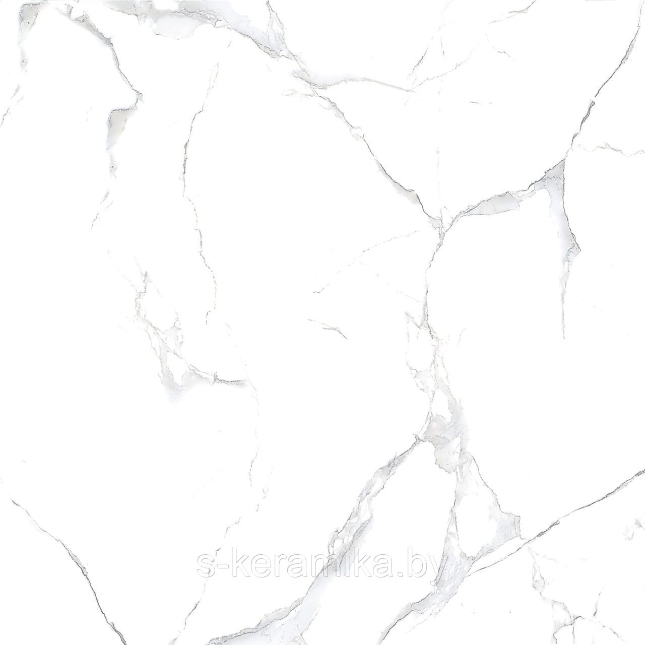 Индийский Керамогранит Range Ceramic Gres Alpine Carrara polished 800*800*9 - фото 3 - id-p205261988