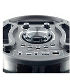 ZQS-6203 Беспроводная портативная колонка Bluetooth + пульт + микрофон + радио, фото 3