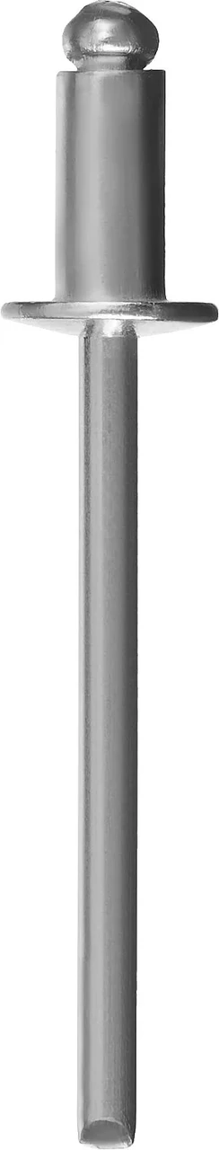 Алюминиевые заклепки, 2.4 х 6 мм, 1000 шт., ЗУБР Профессионал - фото 1 - id-p205288650