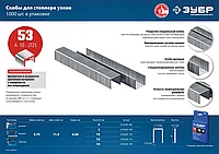 ЗУБР 6 мм скобы для степлера узкие тип 53, 1000 шт