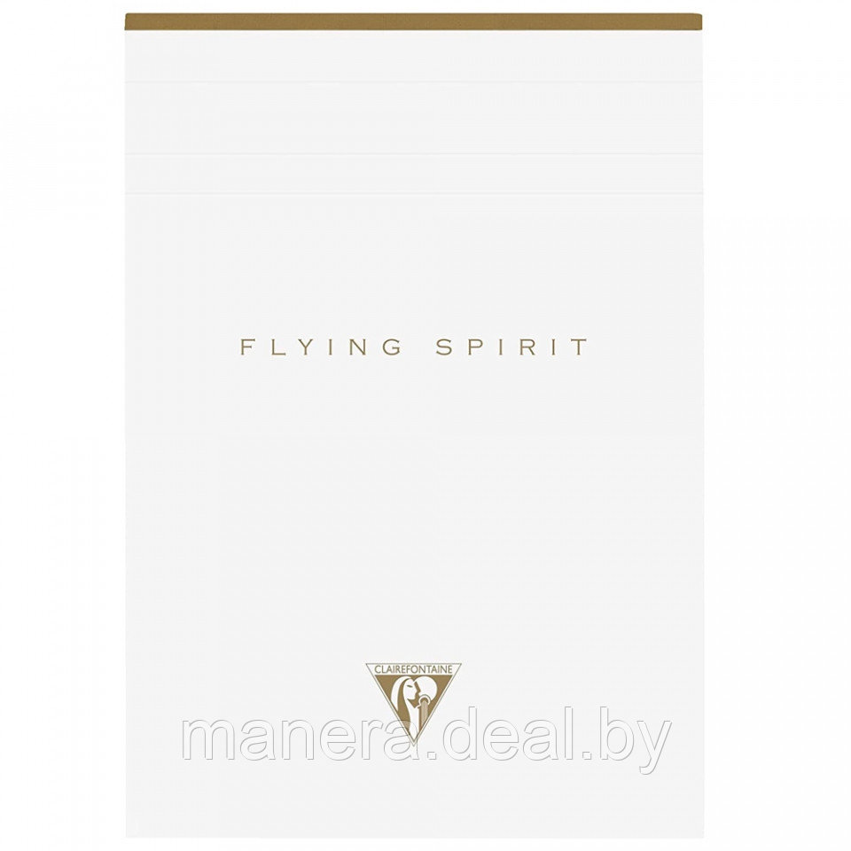 Блокнот "Flying Spirit" А5 - фото 1 - id-p4067578