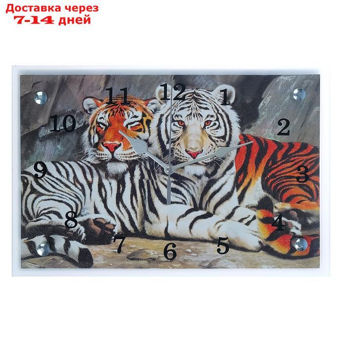 Часы настенные, серия: Животный мир, "Тигры", 20х30 см, микс - фото 1 - id-p205279723