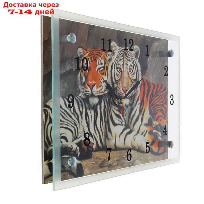 Часы настенные, серия: Животный мир, "Тигры", 20х30 см, микс - фото 6 - id-p205279723